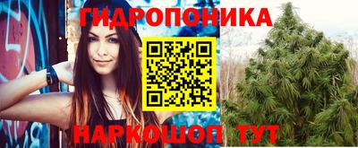 каннабис Камышлов