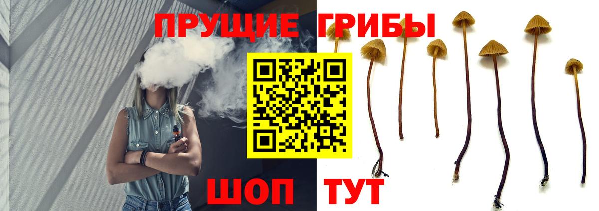 Галлюциногенные грибы Magic Shrooms  Псилоцибиновые грибы Cubensis  Вход с VPN  Воскресенск 